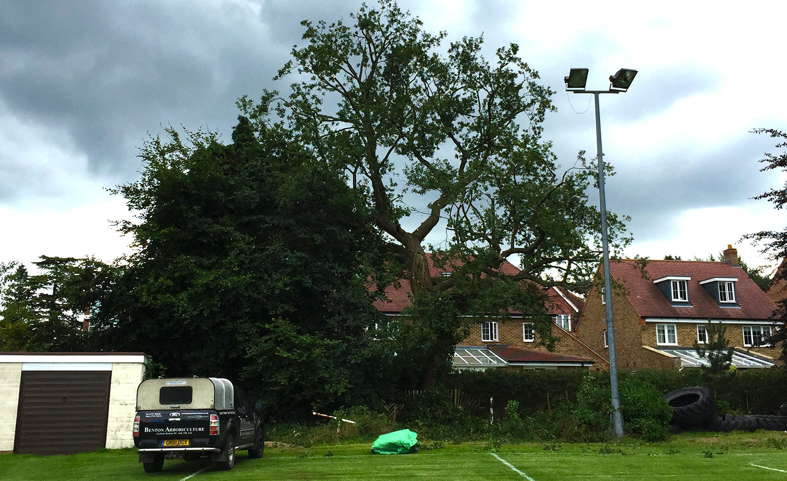 Crown Reduction and thinning of Oak tree in Caterham, Surrey