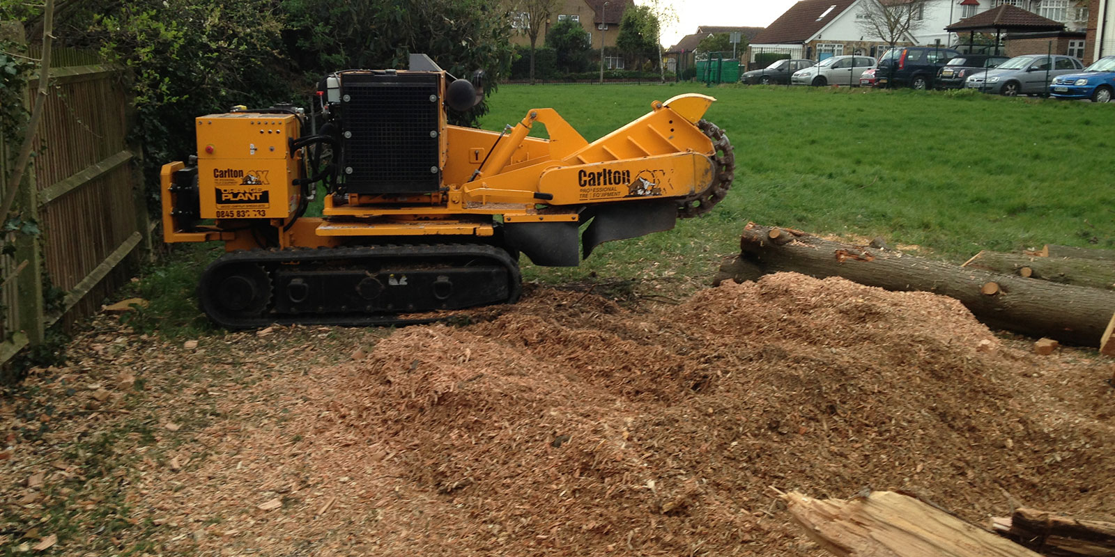 Stump Grinding Experts in Esher Surrey